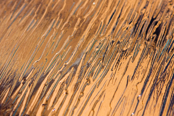 The Maracay All Weather Wicker 7 Piece Dining Set - Tortuga Outdoor